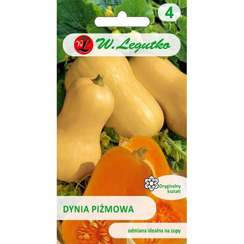 Dynia Butternut interface.image 1 interface.art 78456