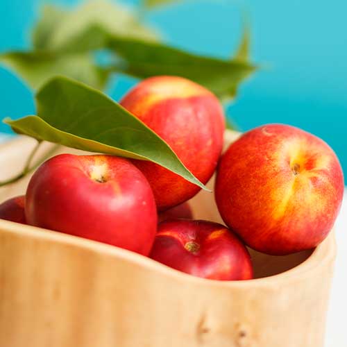 Нектарина Star Coral изображение 1 артикул 7979