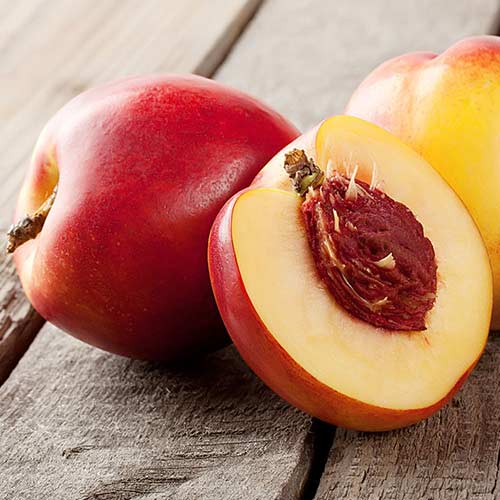 Нектарина Orlando изображение 1 артикул 4288