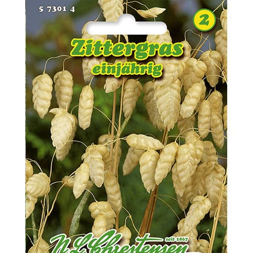 Едра сълзица изображение 1 артикул 86125