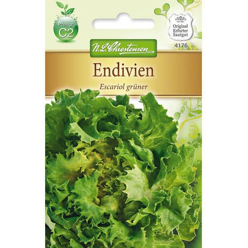 Salata endywia Escariol gruner interface.image 1 interface.art 78764