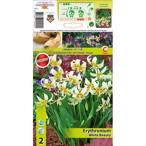 Еритрониум White Beauty изображение 1 артикул 67351