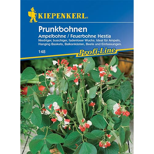 Fasole decorativă Hestia imagine 1 articol 77468