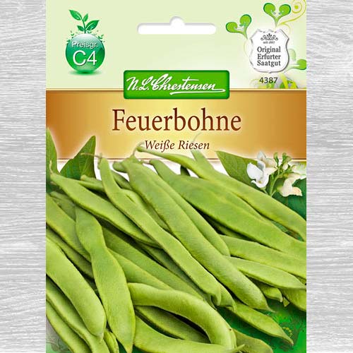 Fasole decorativa White Giant imagine 1 articol 69151