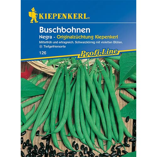 Fasole Negra imagine 1 articol 77471