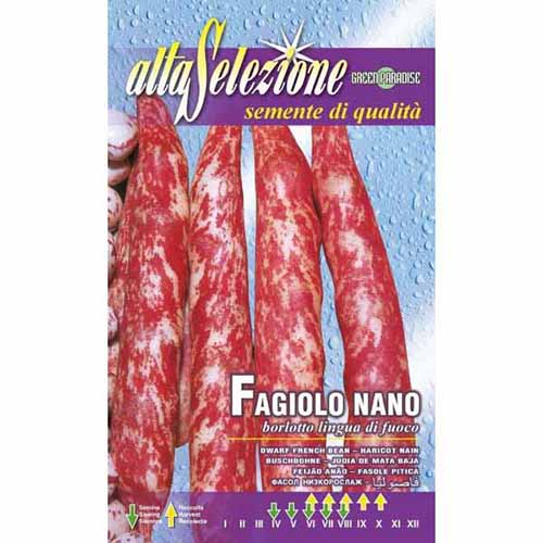 Fasole oloagă Borlotto lingua di fuoco imagine 1 articol 96382