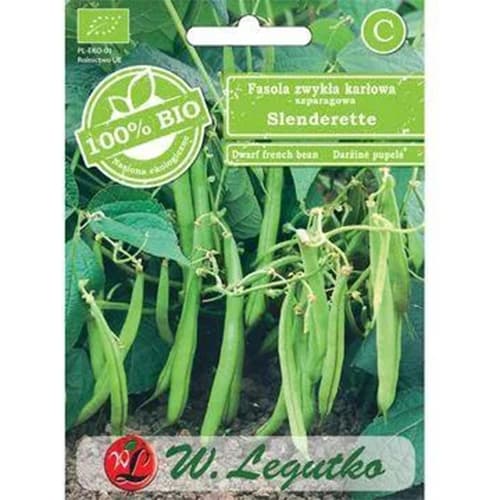 Fasole pitică Slenderette imagine 1 articol 96828