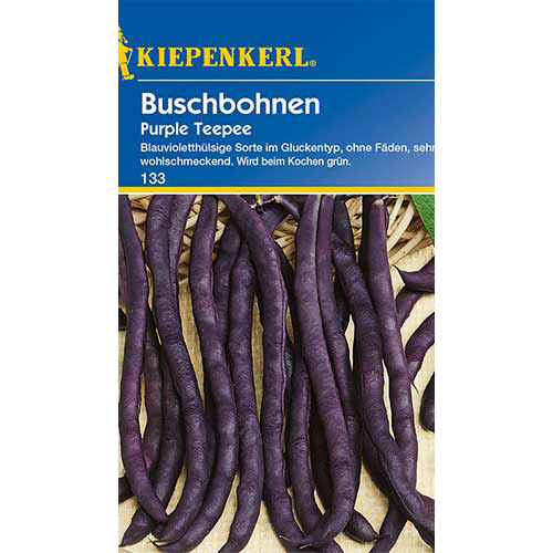 Fasole Purple Teepee Kiepenkerl imagine 1 articol 86403