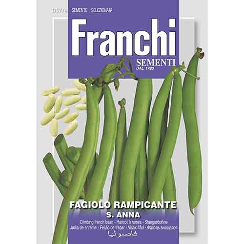 Fasole urcătoare S. Anna imagine 1 articol 96385
