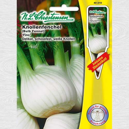 Fenicul Fino imagine 1 articol 69099