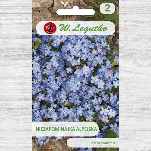Floare de nu mă uita, albastră Legutko imagine 1 articol 78614
