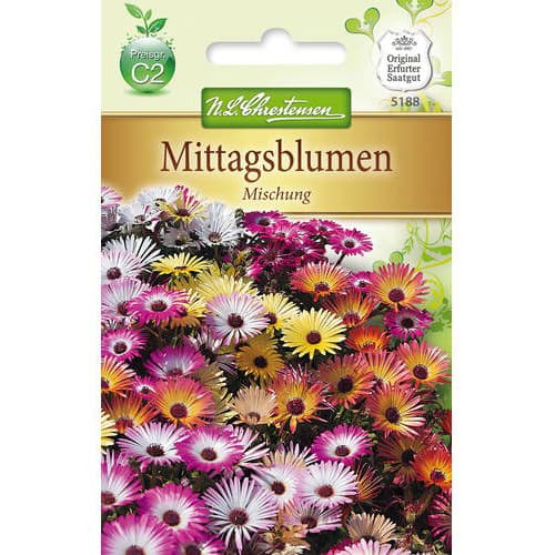 Floarea de cristal (Delosperma), mix multicolor imagine 1 articol 78923