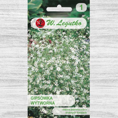 Floarea miresei (Gypsophila) albă Legutko imagine 1 articol 78555