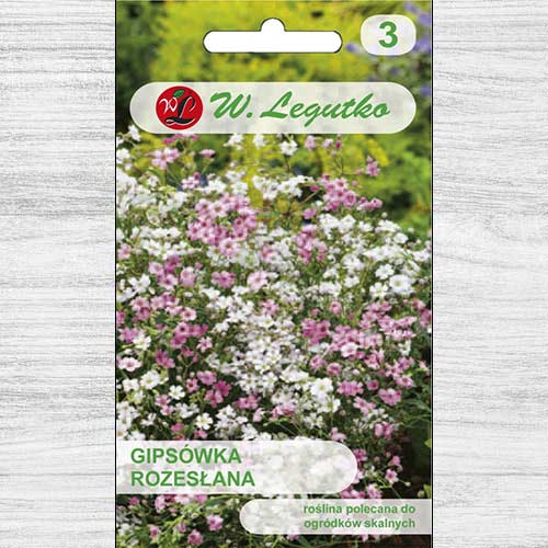 Floarea miresei (Gypsophila) mix multicolor Legutko imagine 1 articol 78601