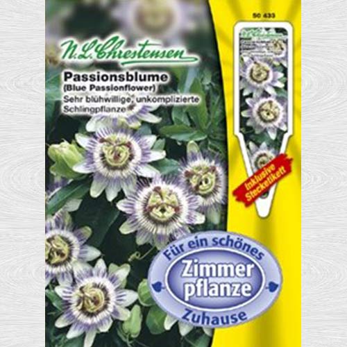 Floarea pasiunii (Chrestensen) imagine 1 articol 69350