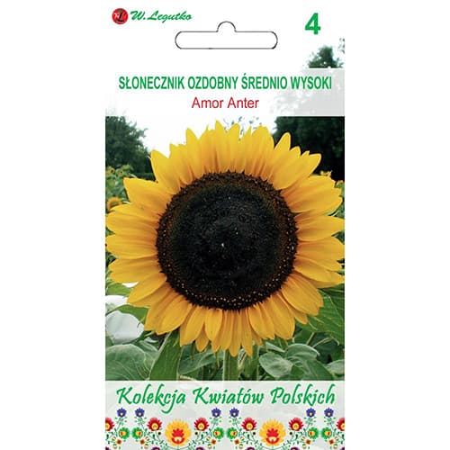 Floarea soarelui decorativă Amor Anter imagine 1 articol 86733