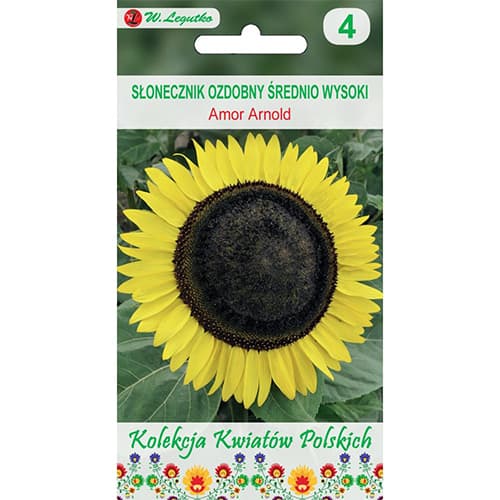 Floarea soarelui decorativă Amor Arnold imagine 1 articol 86731