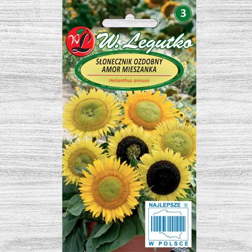 Floarea soarelui decorativă Amor Legutko imagine 1 articol 78586