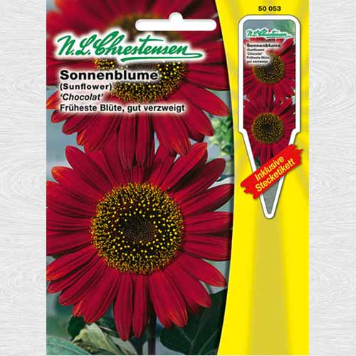 Floarea soarelui decorativă Chocolat imagine 1 articol 69316