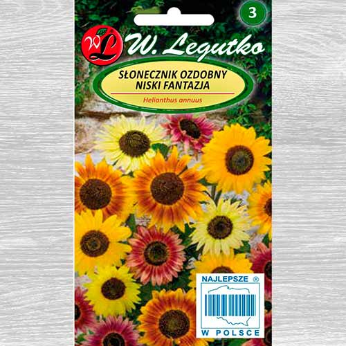 Floarea soarelui decorativă Fantasia, mix multicolor Legutko imagine 1 articol 69630