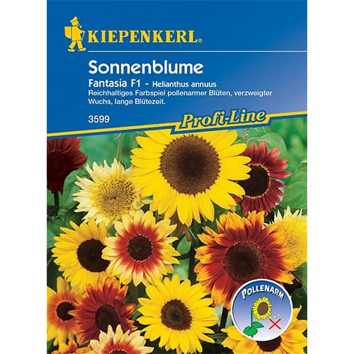 Floarea soarelui decorativă Fantasia F1 imagine 1 articol 86320