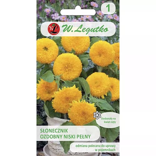 Floarea soarelui decorativă Teddy Bear imagine 1 articol 69629