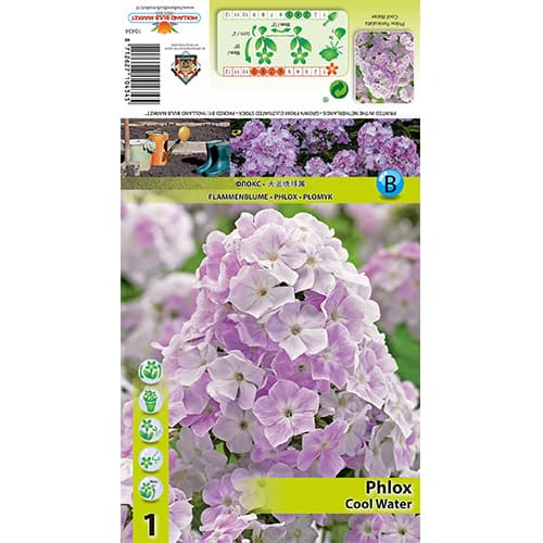 Флокс Cool Water изображение 1 артикул 77835