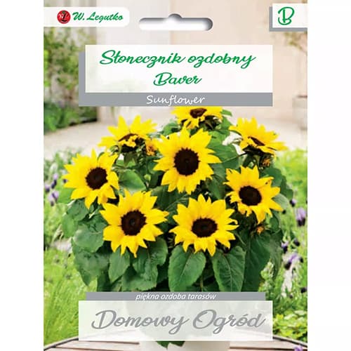 Florea soarelui decorativă Baver imagine 1 articol 69662