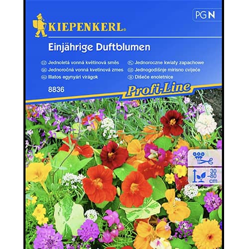 Flori anuale parfumate, mix multicolor imagine 1 articol 96528