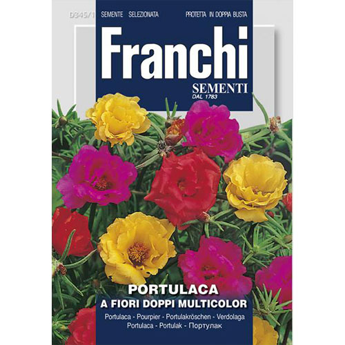 Flori de piatră cu flori duble, mix multicolor imagine 1 articol 87311