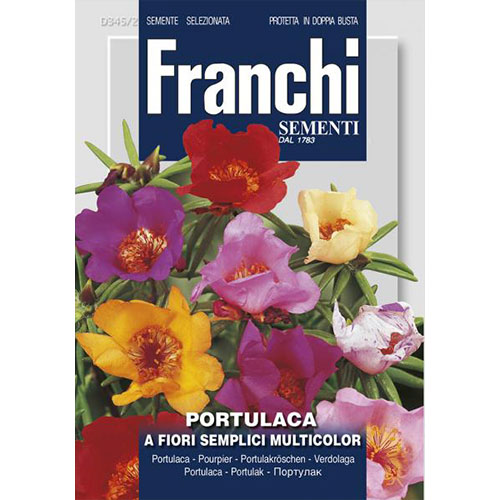 Flori de piatră cu flori simple, mix multicolor imagine 1 articol 87312