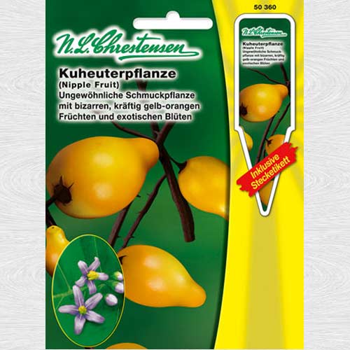 Flori de vară Blue Garden, mix multicolor imagine 1 articol 69376