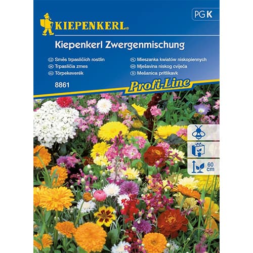 Flori pitice, mix multicolor imagine 1 articol 87250