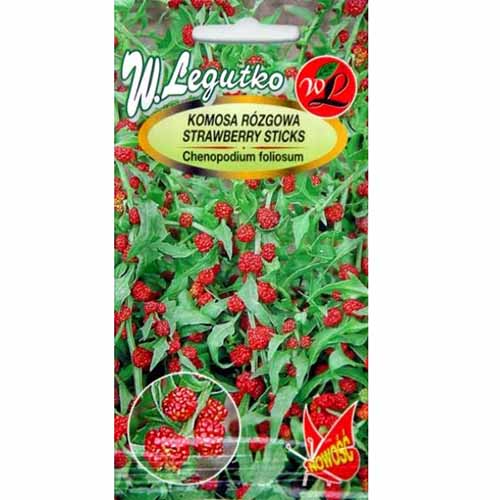 Fragă tătărească imagine 1 articol 96717