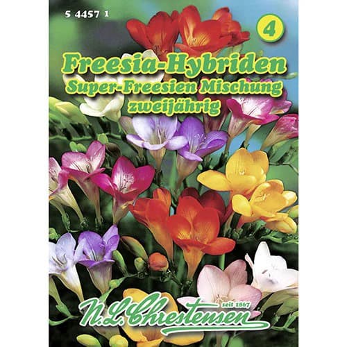 Frezie bianuală, mix multicolor imagine 1 articol 96421