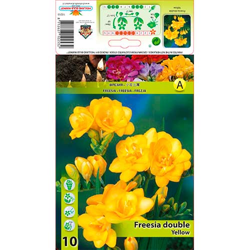 Фрезия Double Yellow изображение 1 артикул 76240