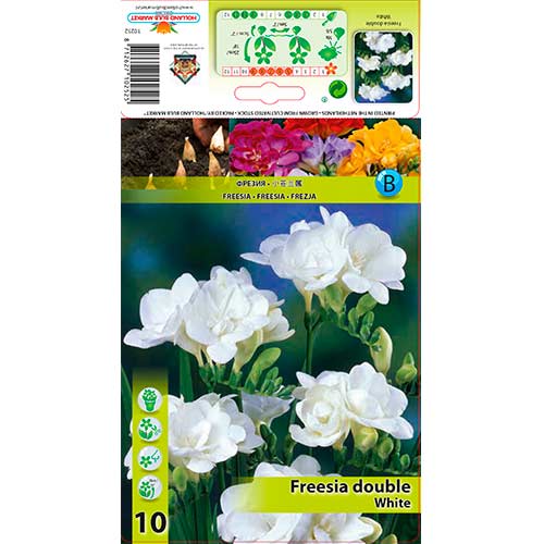 Frezja Double White interface.image 1 interface.art 76239