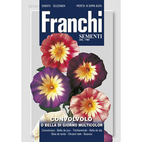 Frumoasa dimineții, mix multicolor imagine 1 articol 87315