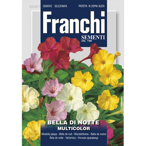 Frumoasa nopții, mix multicolor imagine 1 articol 87316