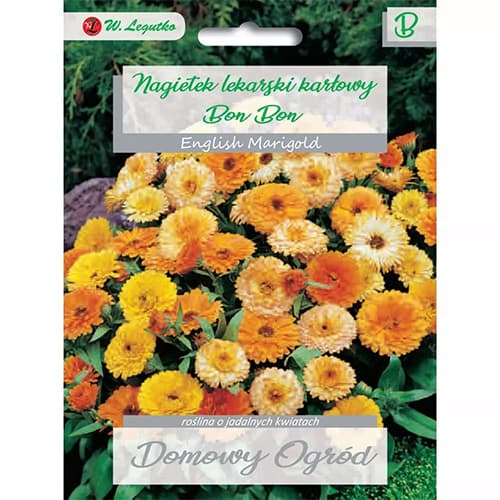 Gălbenele Bon Bon, mix multicolor imagine 1 articol 69660