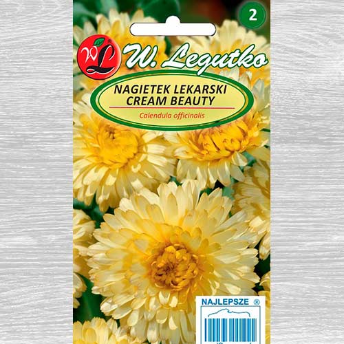 Gălbenele Cream Beauty Legutko imagine 1 articol 69612