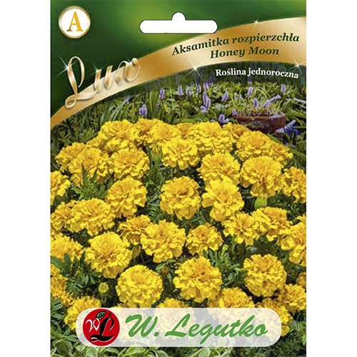 Gălbenele Honey Moon imagine 1 articol 86737