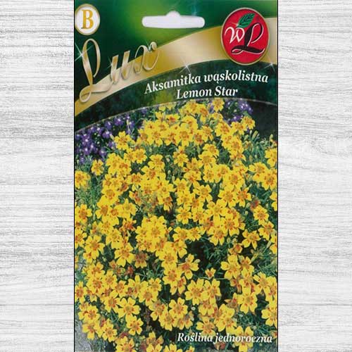 Crăițe Lemon Star imagine 1 articol 78651