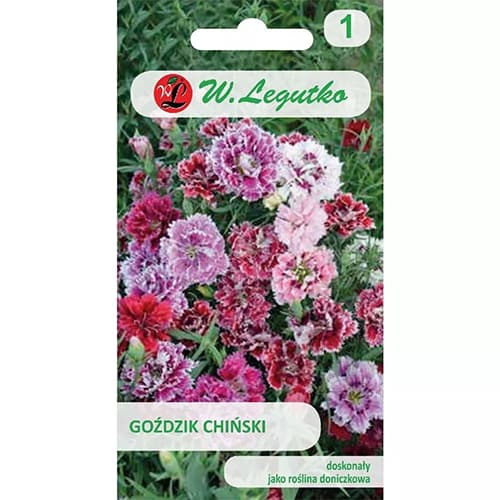 Garoafă chinezească, mix multicolor imagine 1 articol 78564