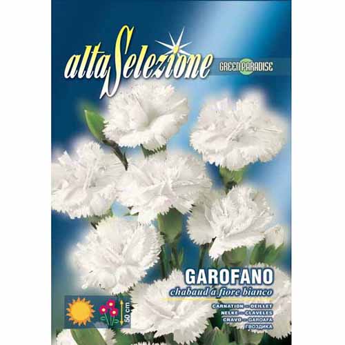 Garoafă cu flori albe imagine 1 articol 96342