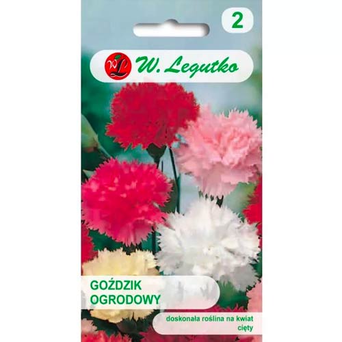 Garoafă de grădină, Mix Legutko imagine 1 articol 50101