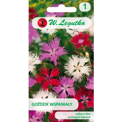 Garoafă minunata, Mix Legutko imagine 1 articol 50103