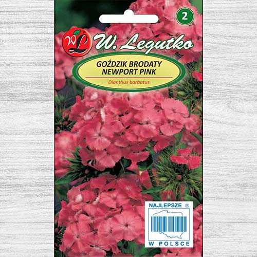 Garoafă Newport Pink Legutko imagine 1 articol 78602