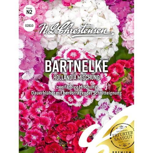 Garoafă turcească Hollandia, mix multicolor imagine 1 articol 86123