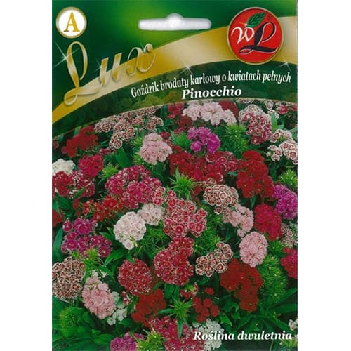 Garoafă turcească Pinocchio, mix multicolor imagine 1 articol 86762